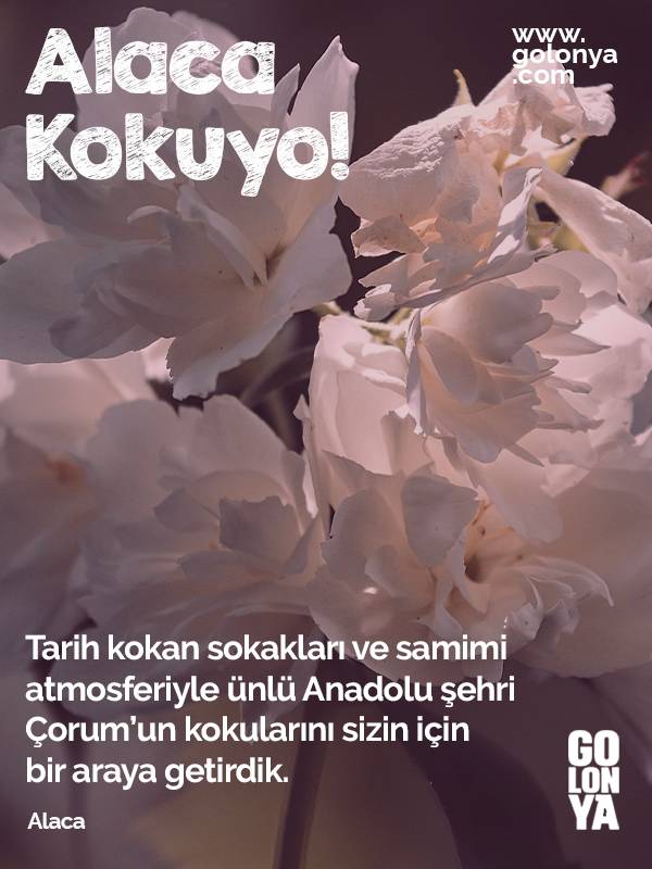 alaca golonya, kolonya, premium kolonya, özel kolonyalar, en iyi kolonya kokusu, kolonya koku çeşitleri, en iyi kolonya markası, parfümlü kolonya