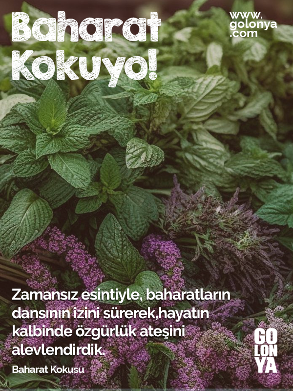 Baharat Kokusu 100 ML SPREY