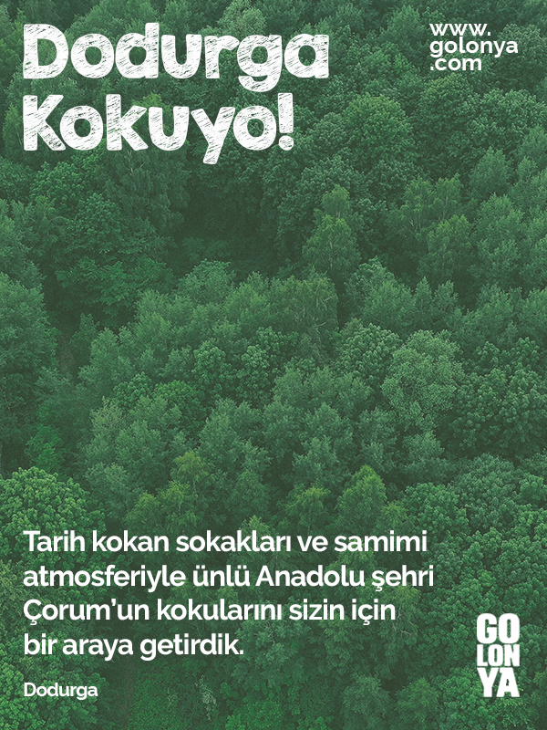 dodurga golonya, kolonya, premium kolonya, özel kolonyalar, en iyi kolonya kokusu, kolonya koku çeşitleri, en iyi kolonya markası, parfümlü kolonya