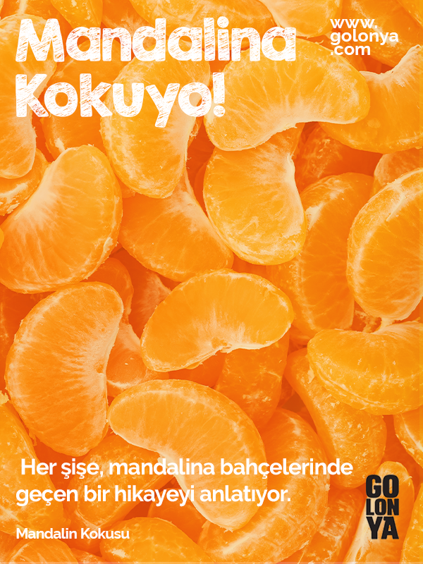 Ekşi Mandalina Kokusu 50 ml