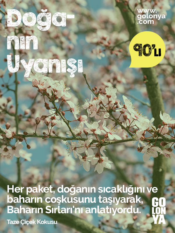 Fresh Blossom Kolonyalı Mendil 90lı 