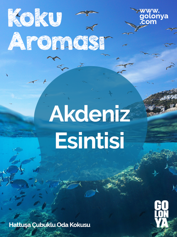 Hattuşa Çubuklu Oda Kokusu 120 Ml