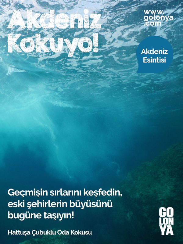 Hattuşa Çubuklu Oda Kokusu 120 Ml