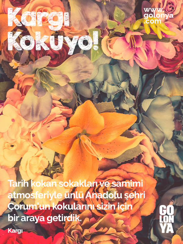 kargı golonya, kolonya, premium kolonya, özel kolonyalar, en iyi kolonya kokusu, kolonya koku çeşitleri, en iyi kolonya markası, parfümlü kolonya