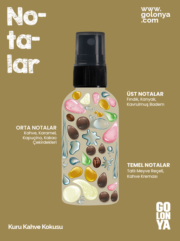 Kuru Kahve Kokusu 100 ml SPREY