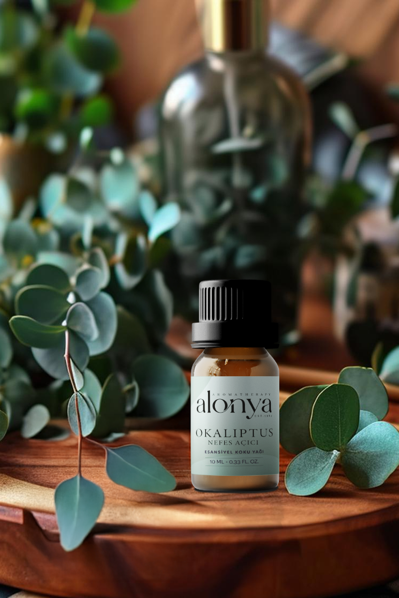 OKALİPTUS ESANSİYEL UÇUCU KOKU YAĞI ORTAM KOKUSU DOĞAL YAĞ AROMATERAPİ YAĞI 10 ML
