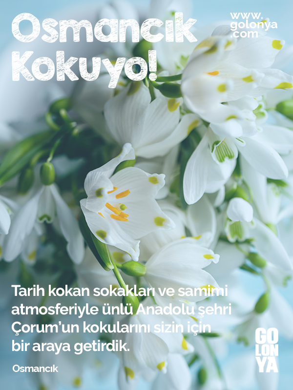 osmancık golonya, kolonya, premium kolonya, özel kolonyalar, en iyi kolonya kokusu, kolonya koku çeşitleri, en iyi kolonya markası, parfümlü kolonya