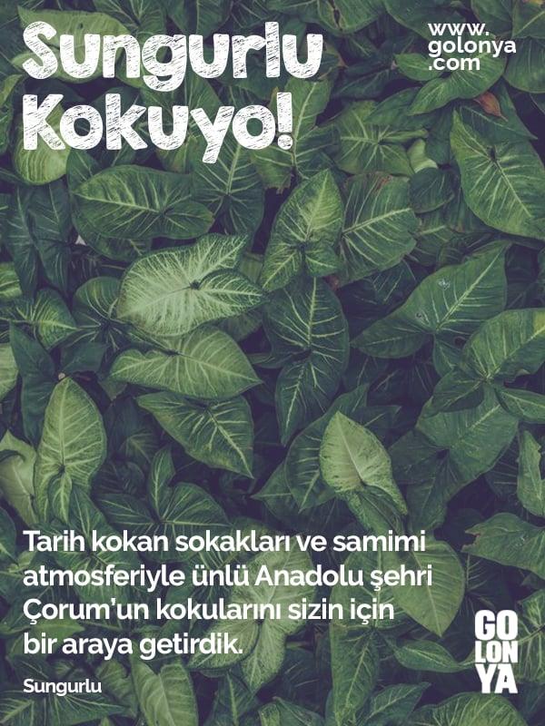 SUNGURLU Kokusu 250 ML Cam Şişe