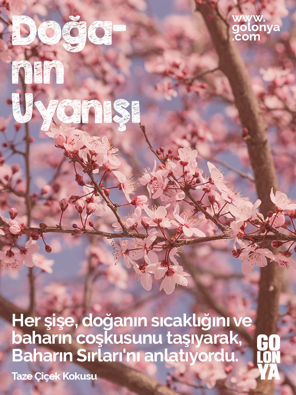 Taze Çiçek Kokusu