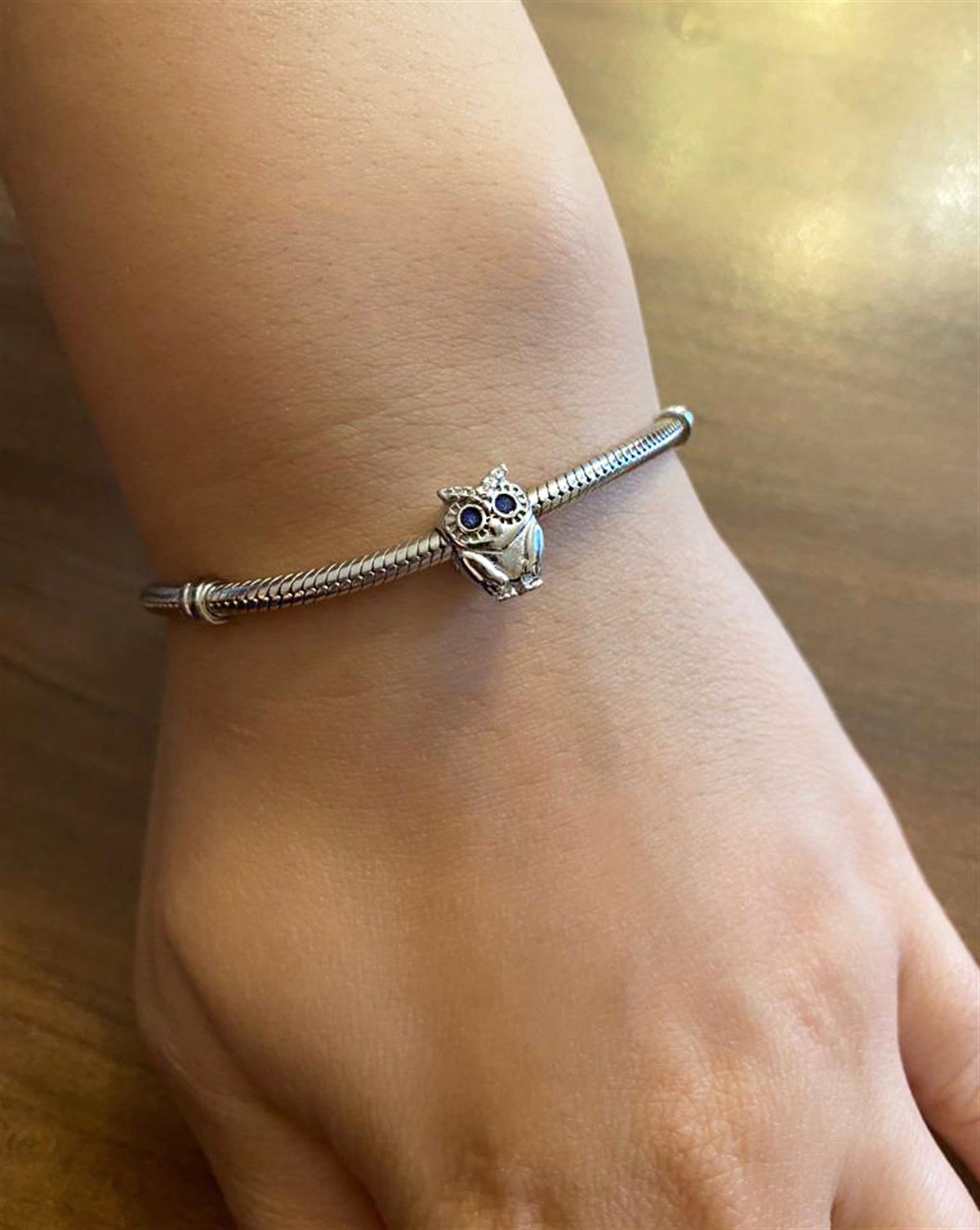 Gümüş Minik  Baykuş Model Mavi Göz Detay Charm