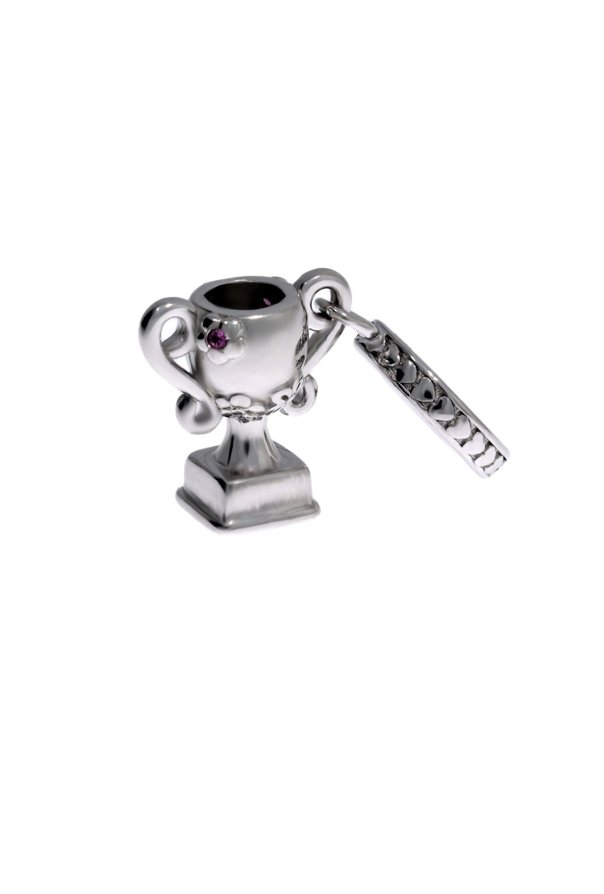 Kadın Gümüş Başarı Kupası Charm