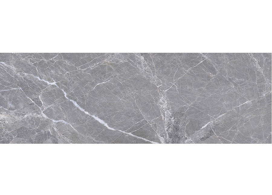 Bien 30x90 ADELA GREY DIGI.REC.1.