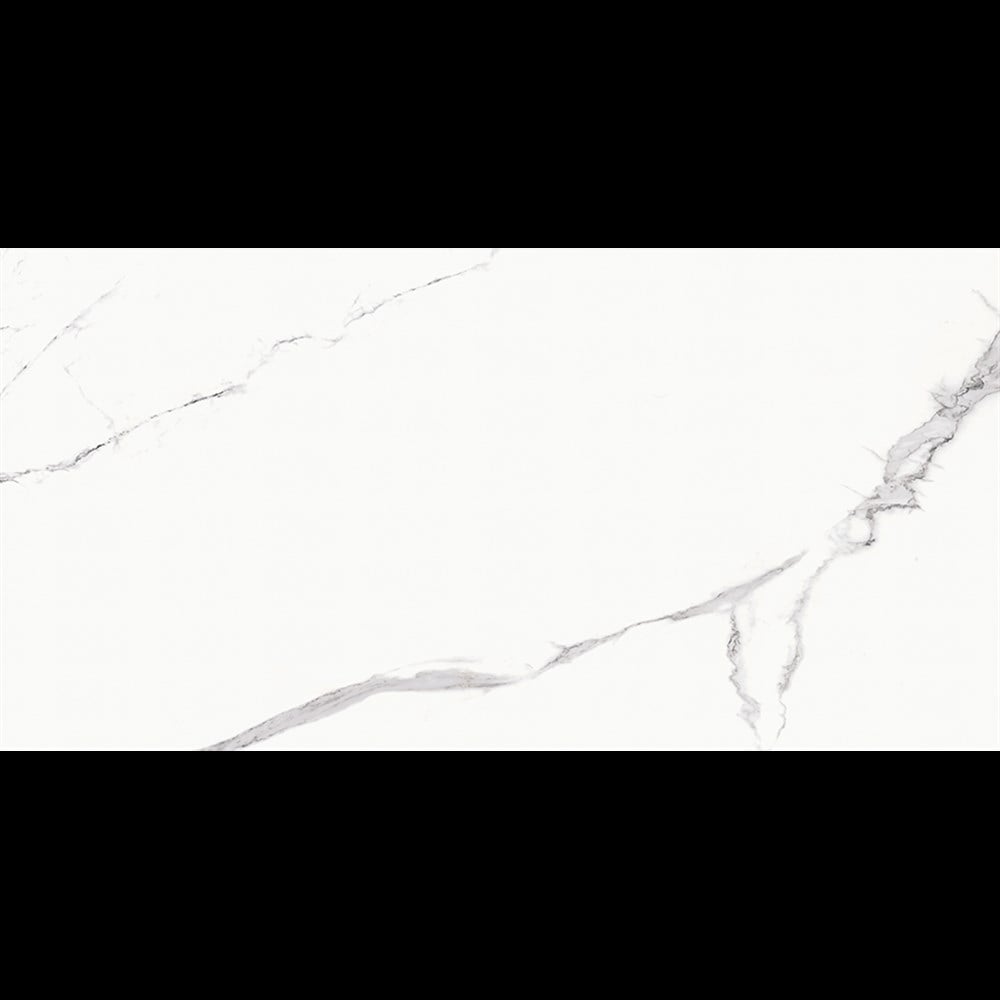 Bien Statuario Goya 60x120 Mat Yer ve Duvar Seramiği (1 kutu=1.44 m² fiyatı)