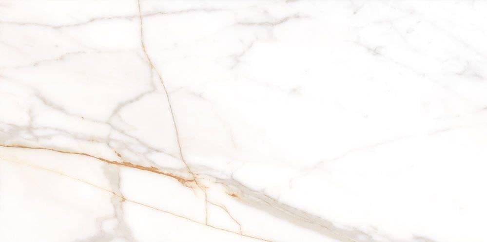 Qua 60x120 Venecia Parlak