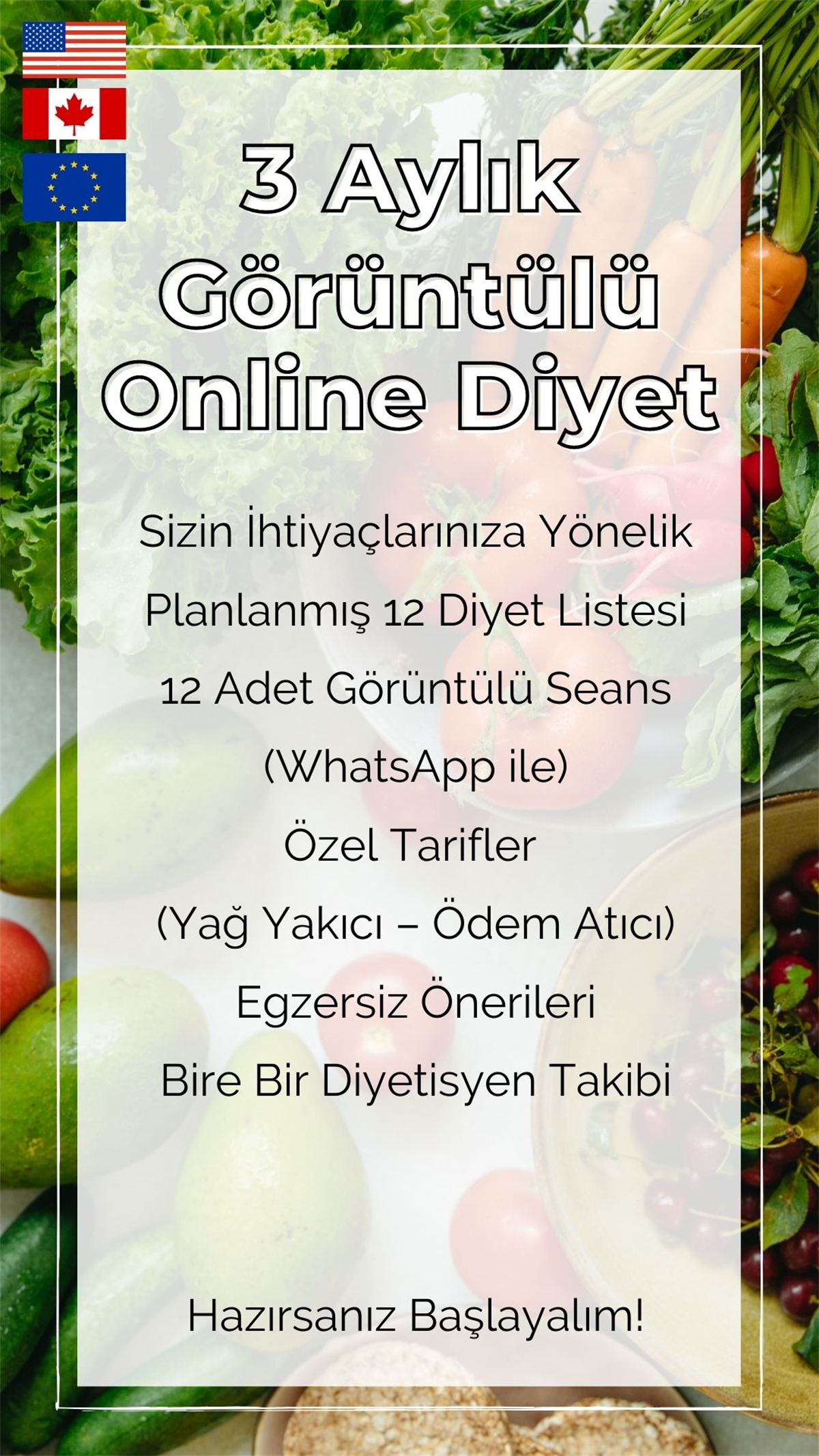 Görüntülü Online Beslenme Programı Yurt Dışı