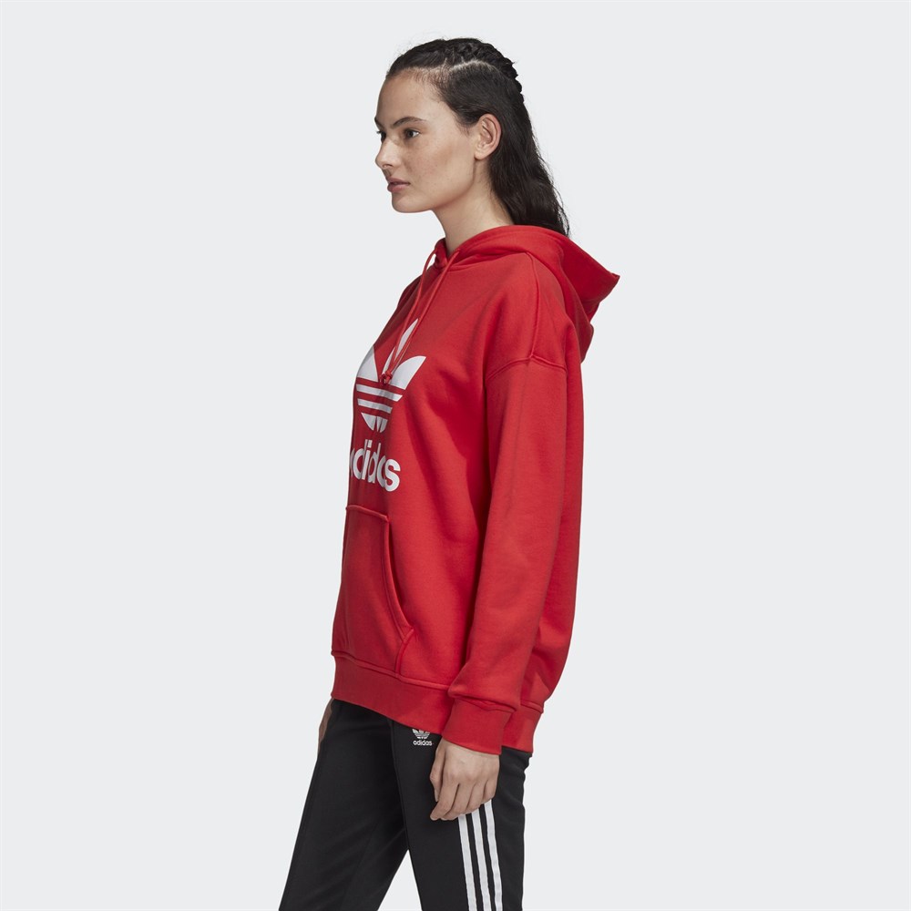adidas Adicolor Trefoil Kadın Sweatshirt