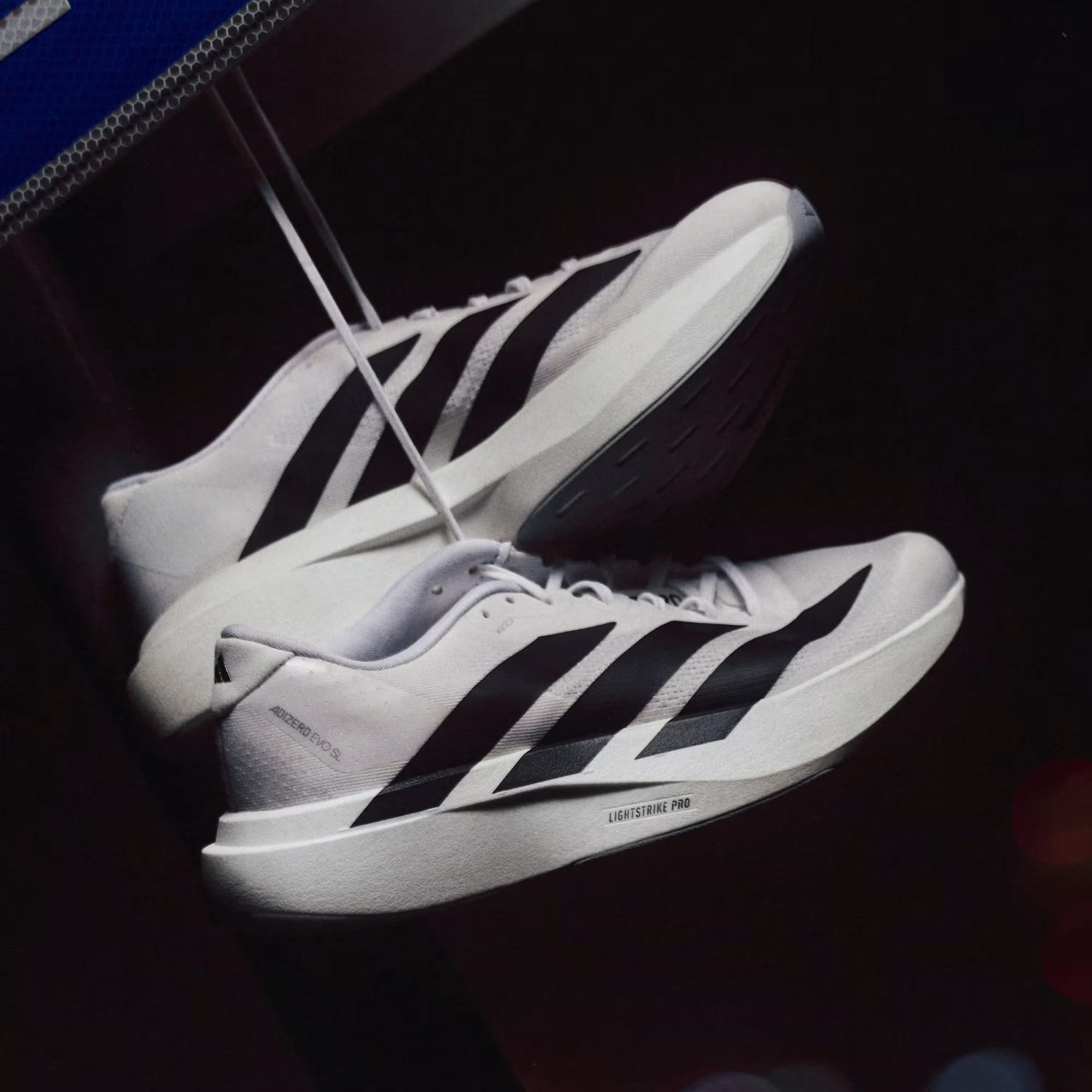 adidas Adizero Evo SL Erkek Koşu Ayakkabısı