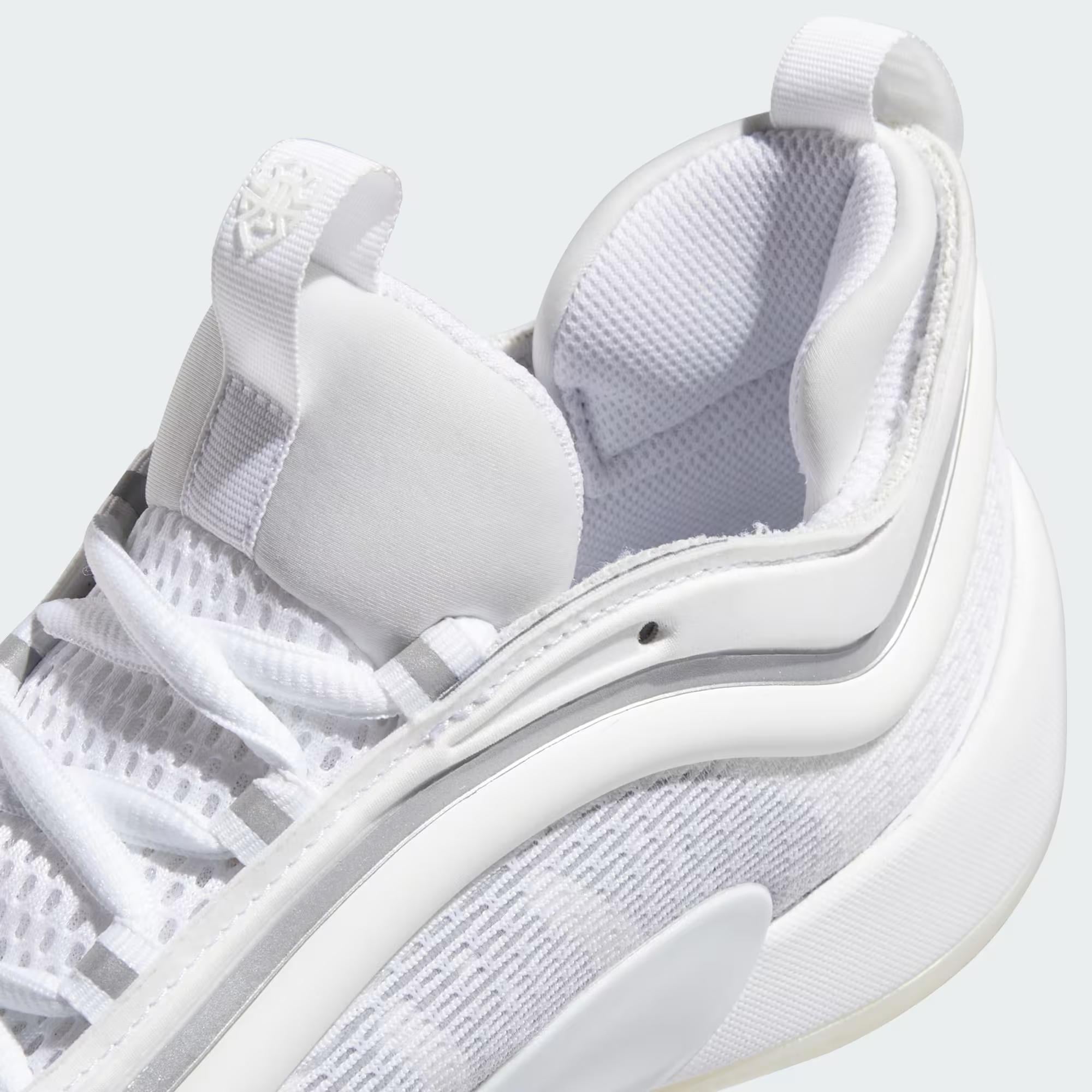 adidas D.O.N. Issue 6 Erkek Basketbol Ayakkabısı