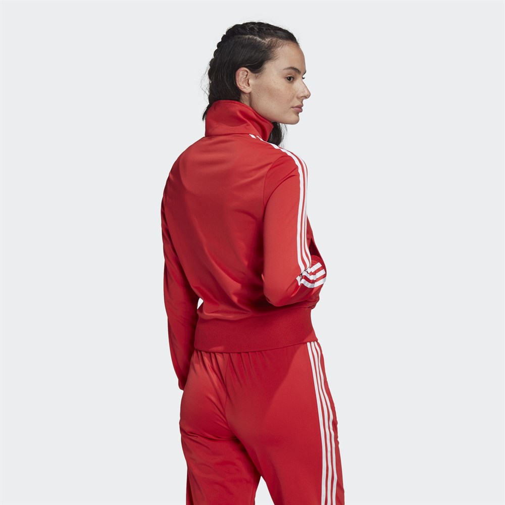 adidas Firebird Kadın Sweatshirt