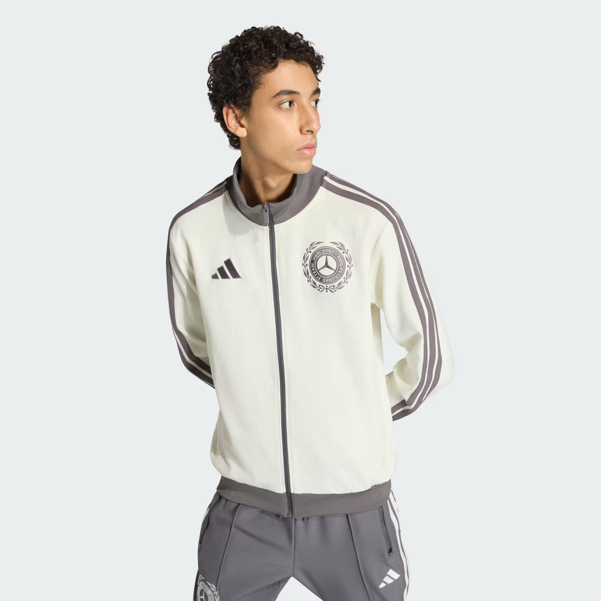 adidas Mercedes Amg Petronas Formula 1 Team Silver Arrows Icon Erkek Sweatshirt