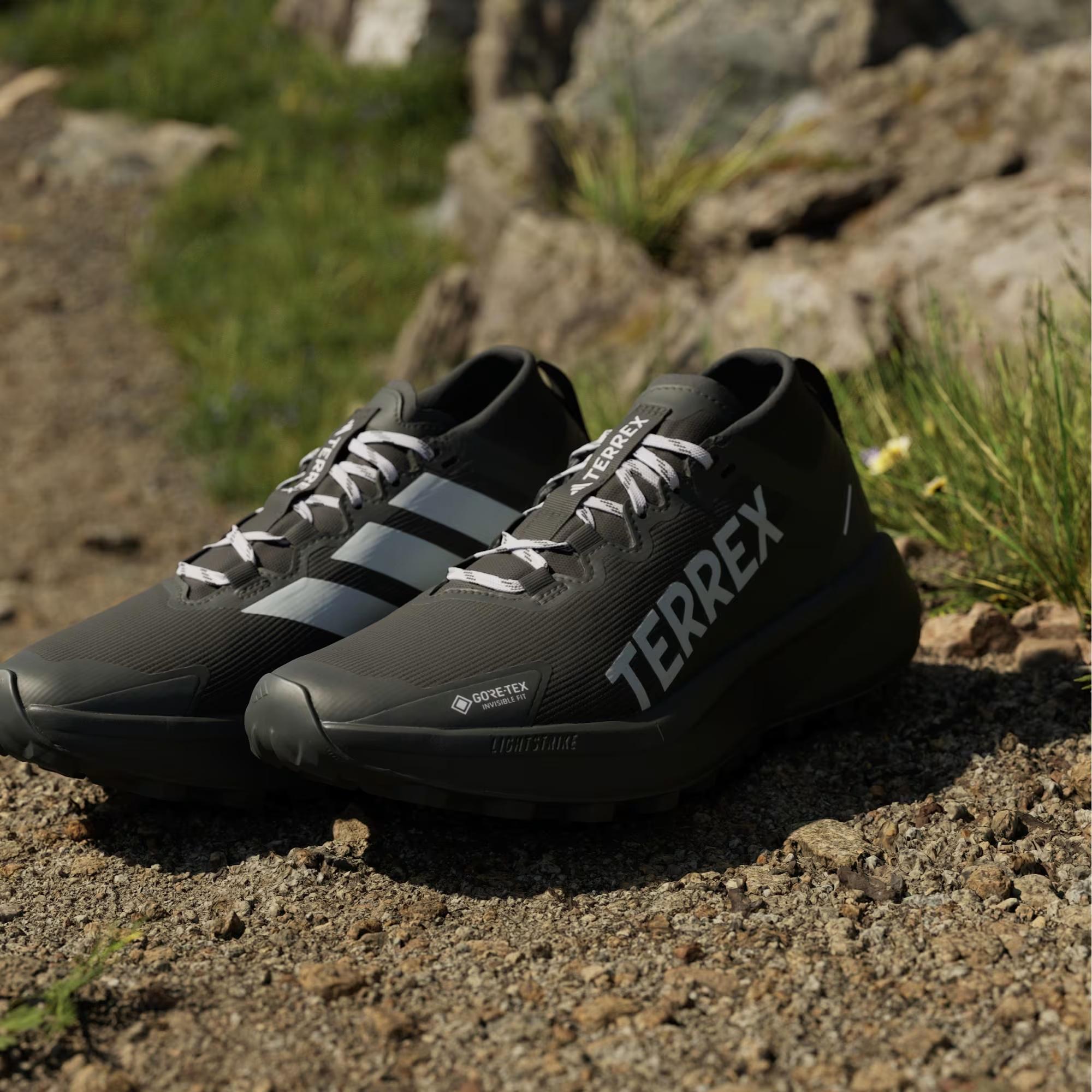 adidas Terrex Agravic Gore Tex Trail Kadın Koşu Ayakkabısı