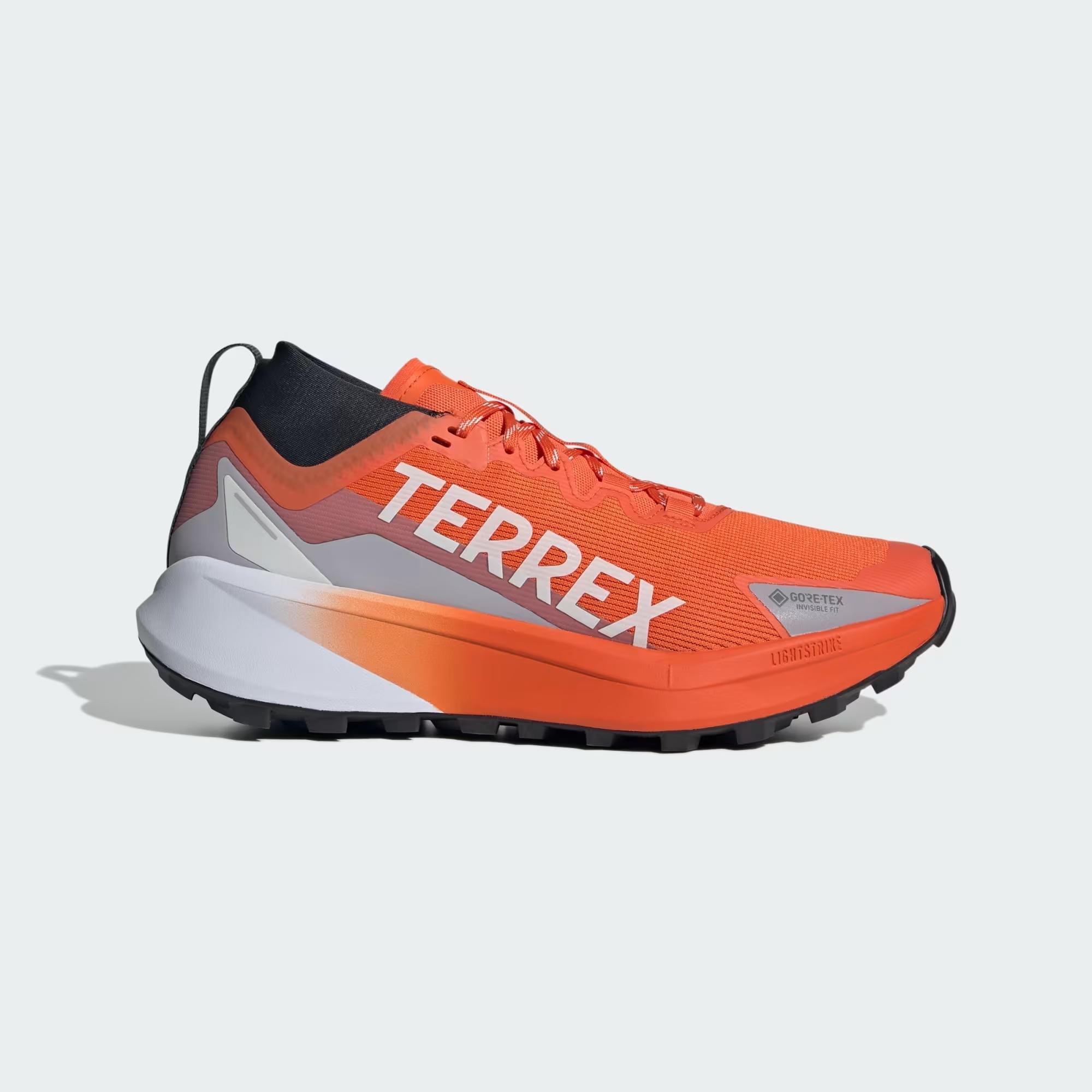 adidas Terrex Agravic GTX Erkek Koşu Ayakkabısı - Görsel 2