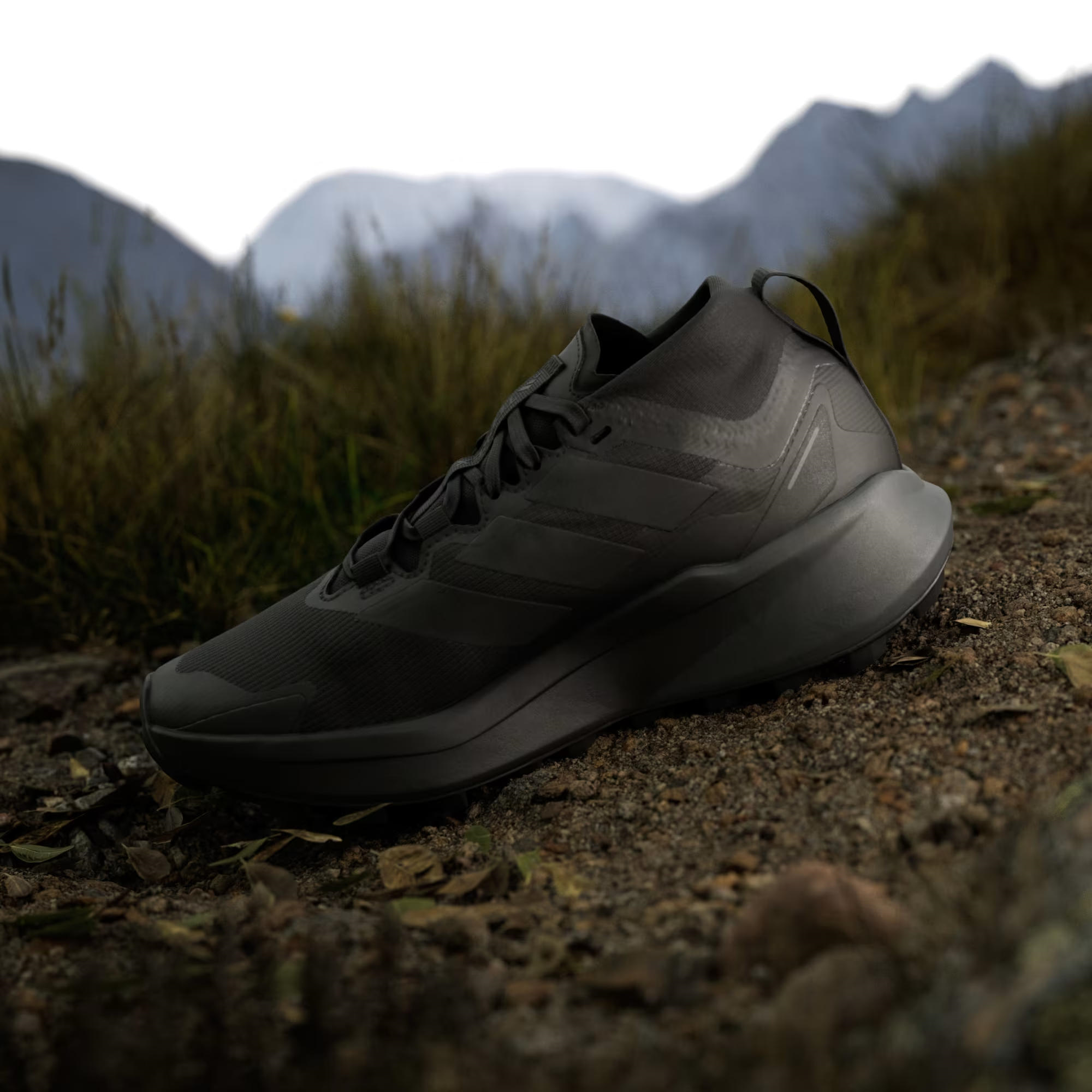 adidas Terrex Agravic GTX Trail Kadın Koşu Ayakkabısı