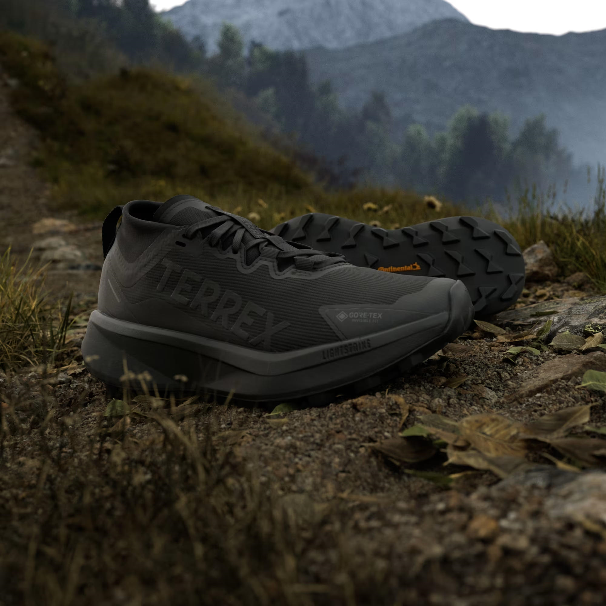 adidas Terrex Agravic GTX Trail Kadın Koşu Ayakkabısı