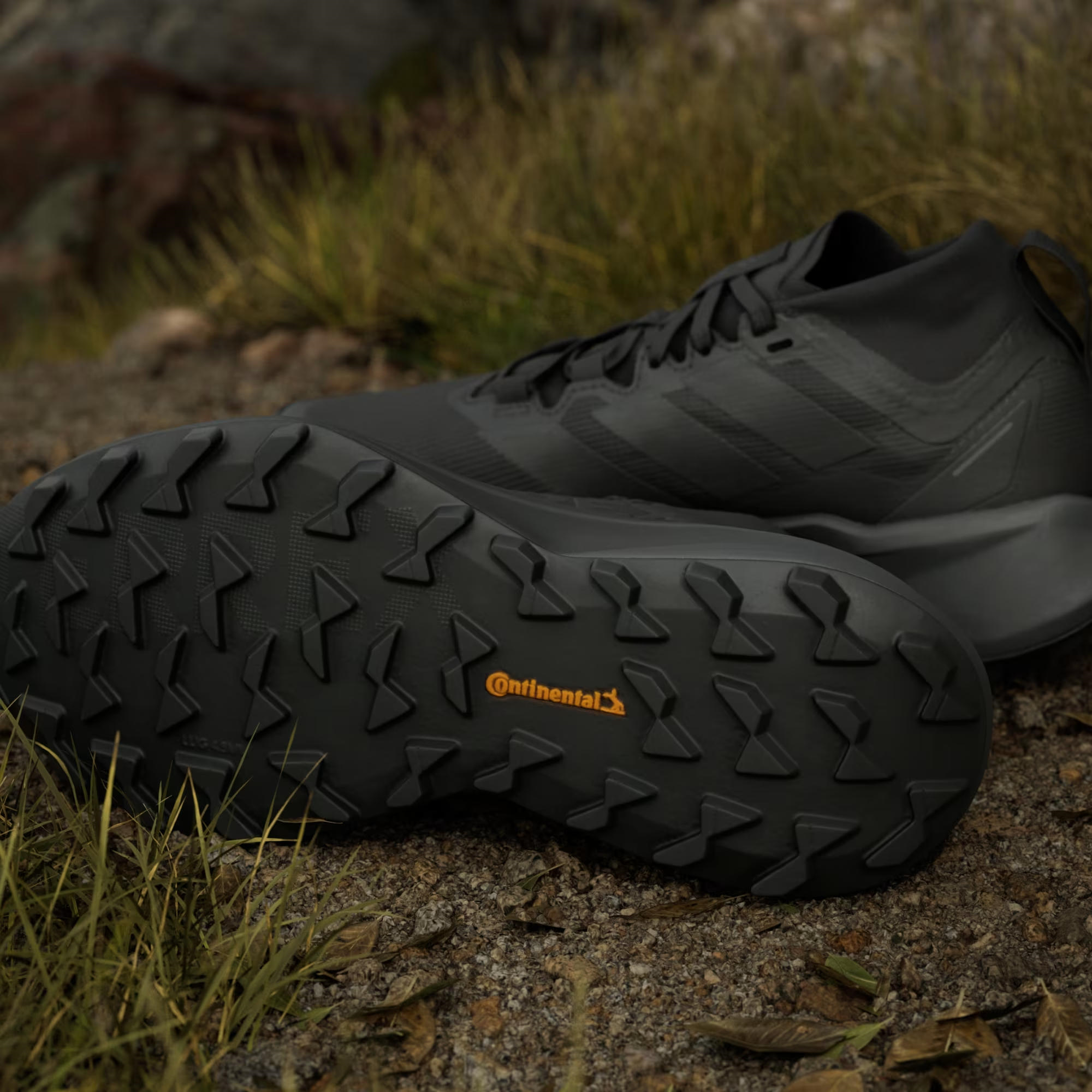 adidas Terrex Agravic GTX Trail Kadın Koşu Ayakkabısı