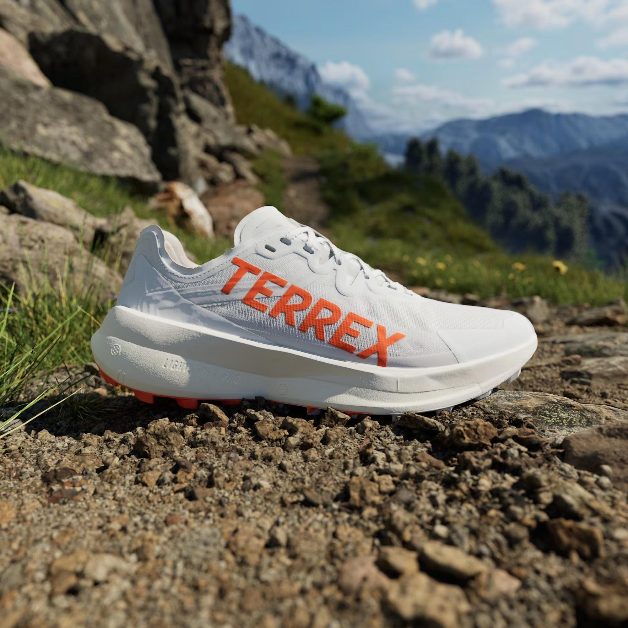 adidas Terrex Agravic Speed Trail Erkek Koşu Ayakkabısı - Görsel 3