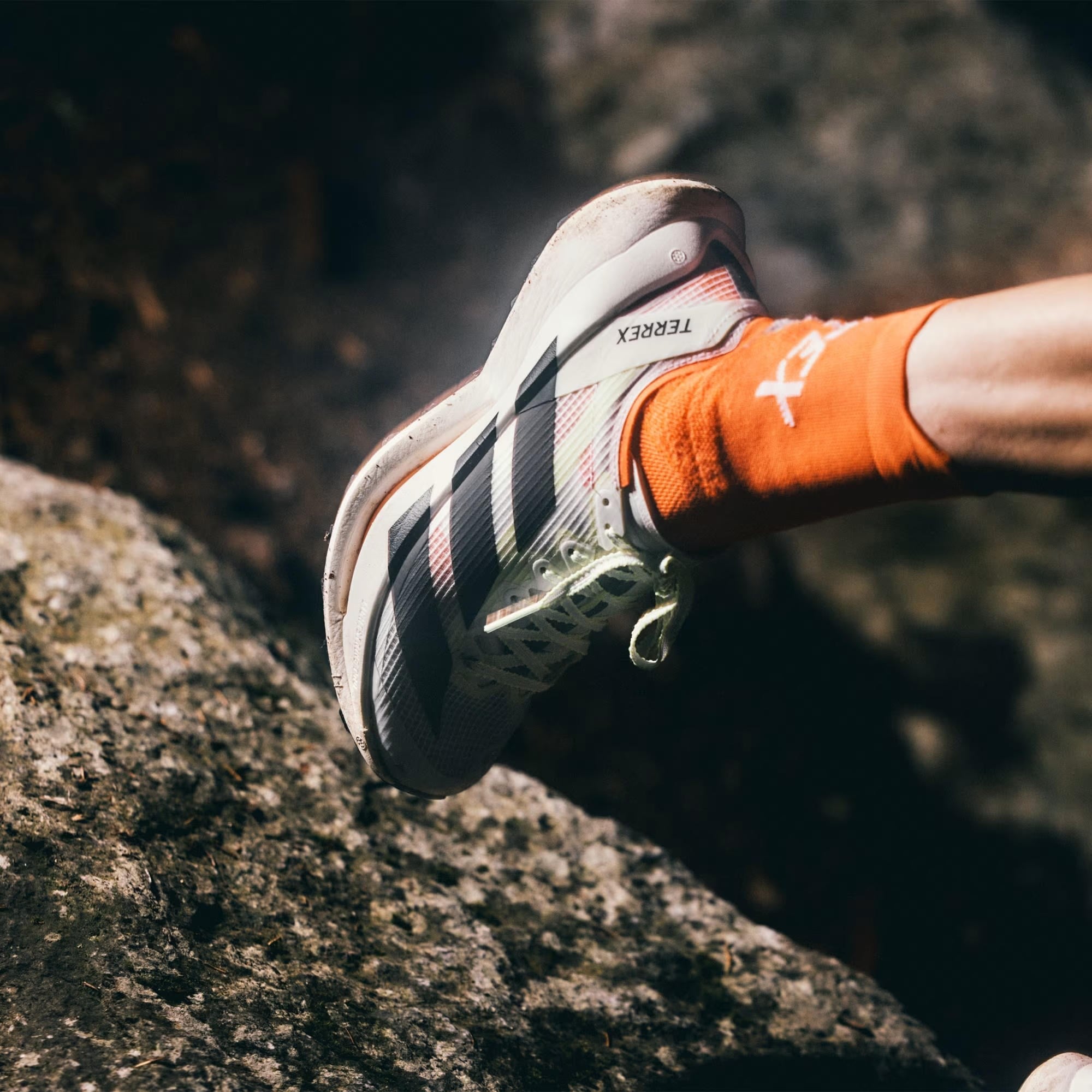 adidas Terrex Agravic Speed Ultra 2 Kadın Koşu Ayakkabısı