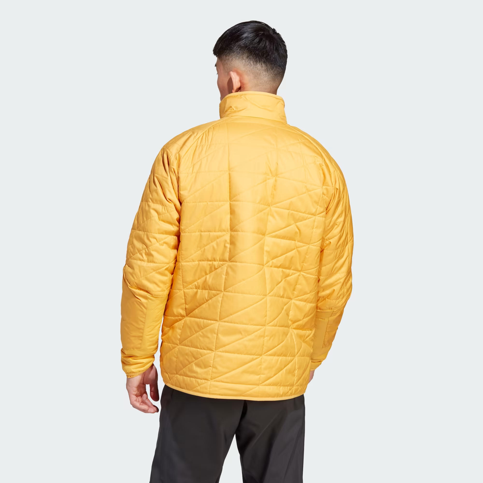 adidas Terrex Multi Insulation Erkek Mont