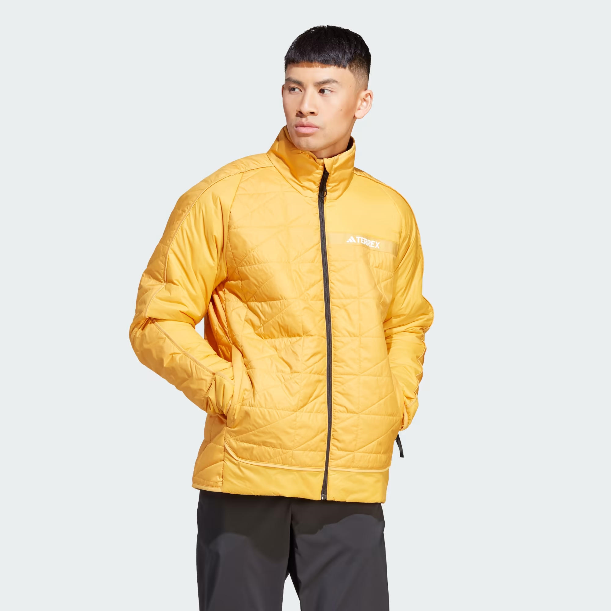 adidas Terrex Multi Insulation Erkek Mont