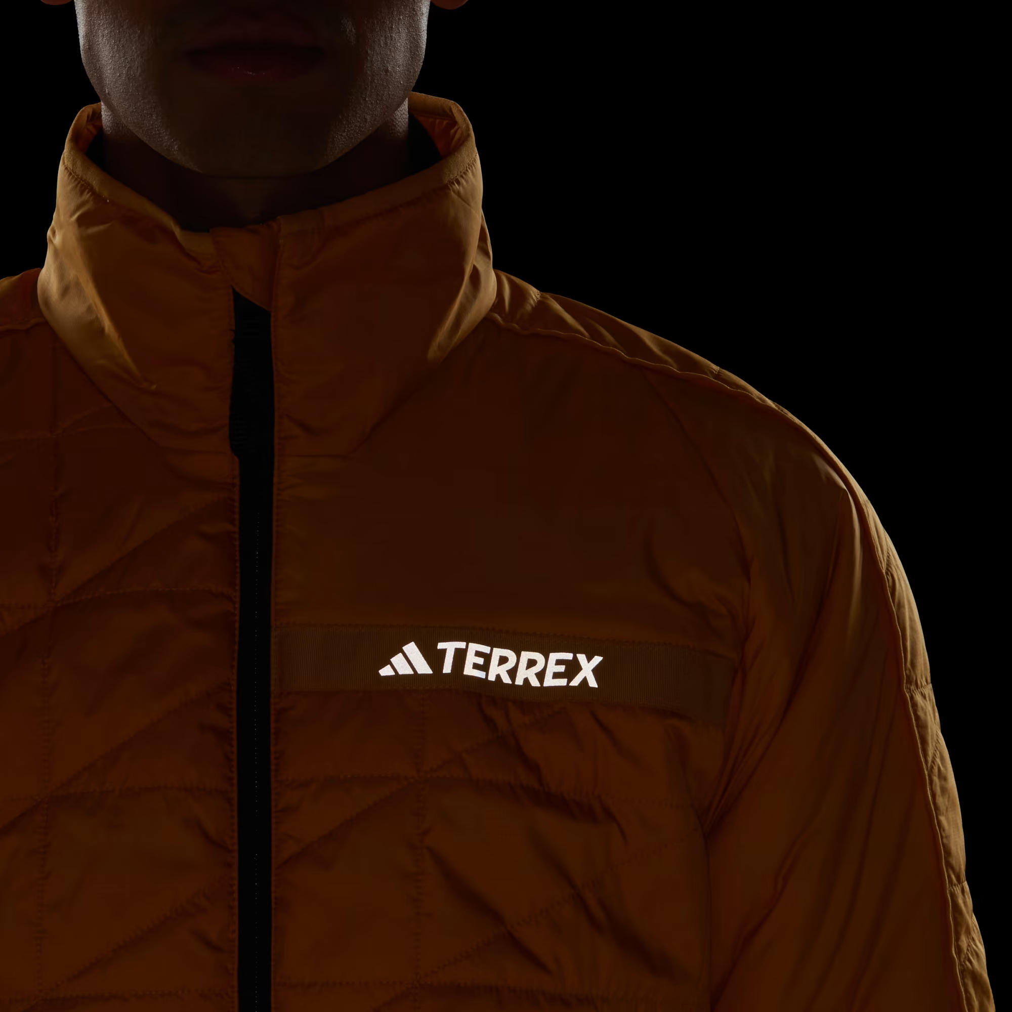 adidas Terrex Multi Insulation Erkek Mont