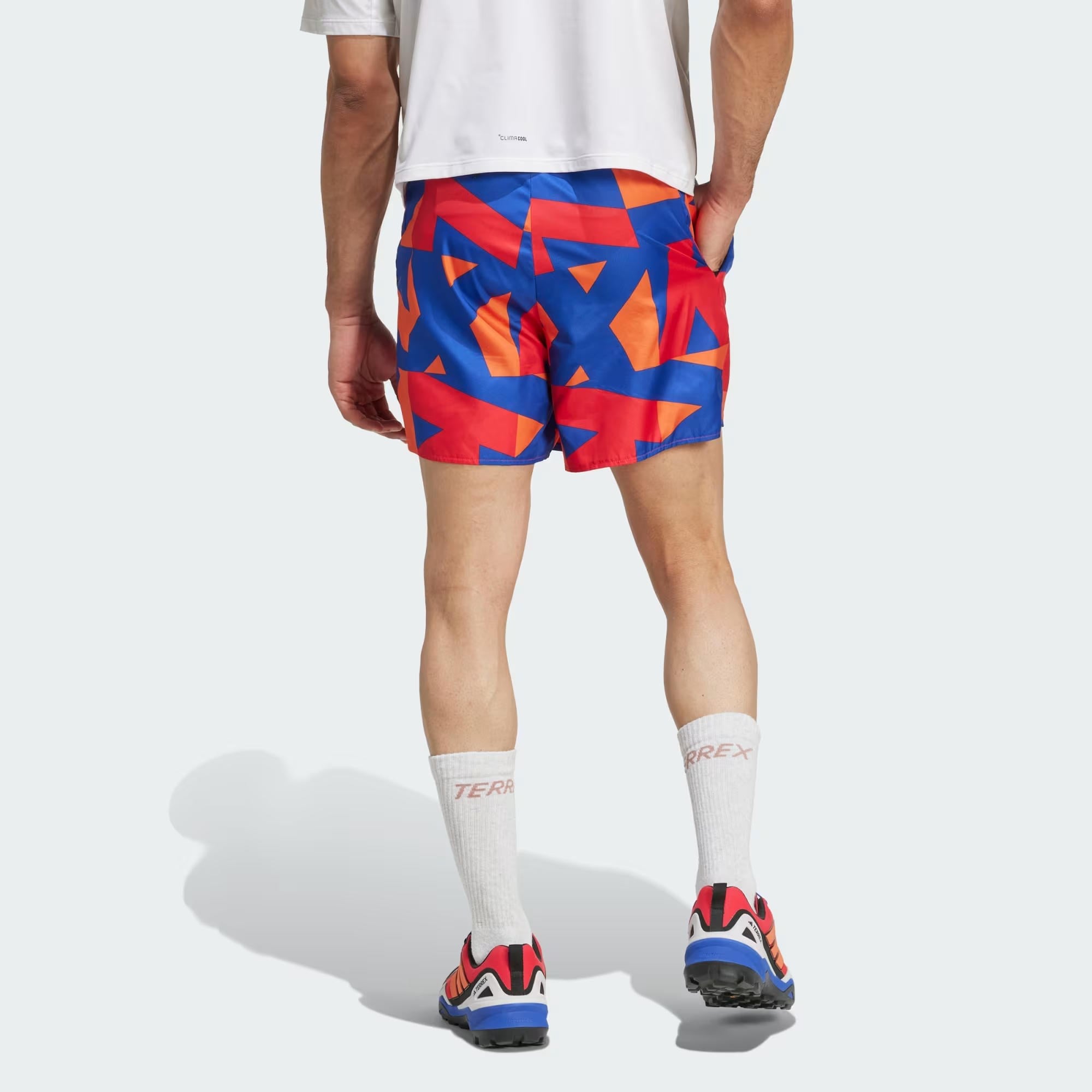 adidas Terrex Multi Light Erkek Şort