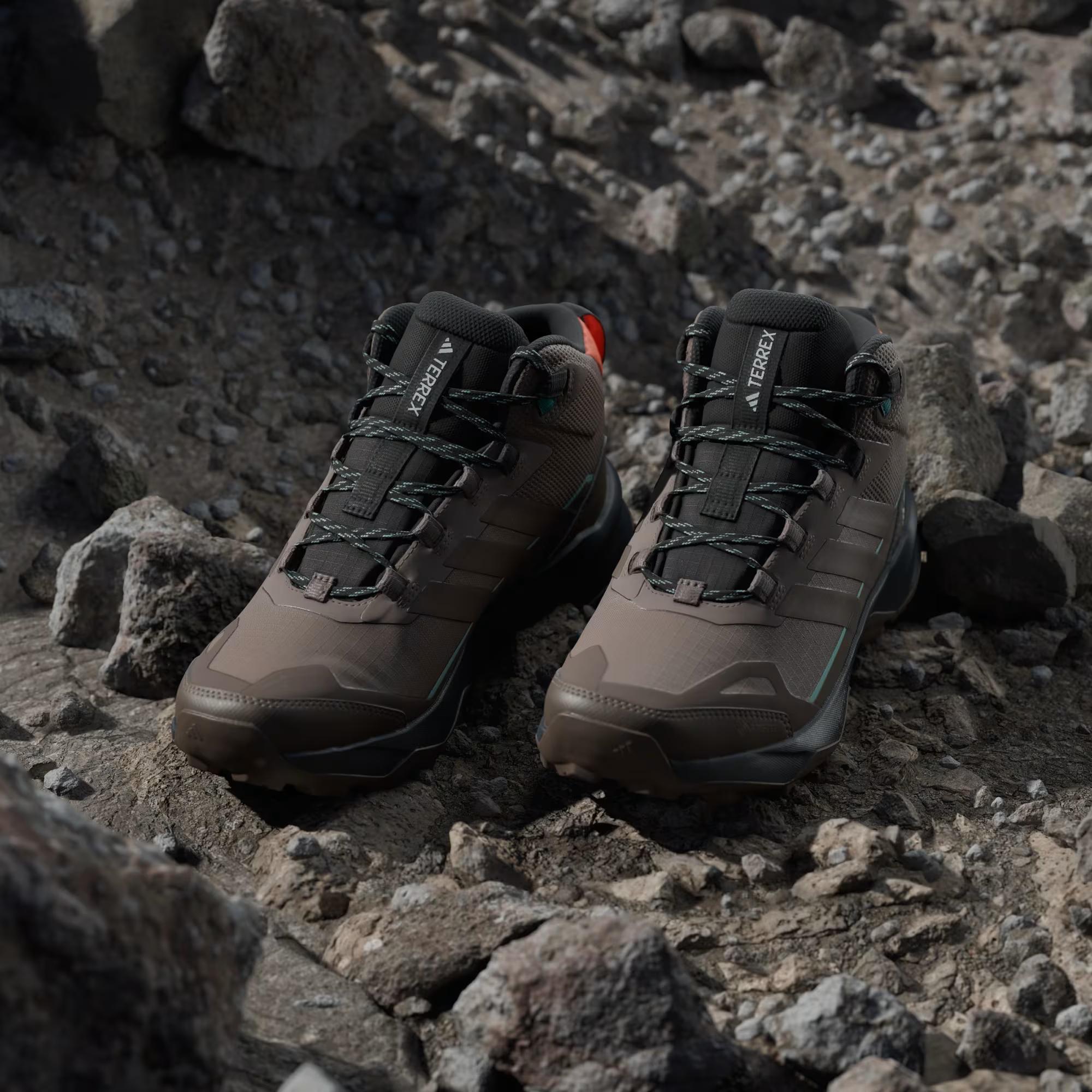 Adidas Kahverengi Adidas Terrex Skychaser Ax5 Mid Gore-Tex