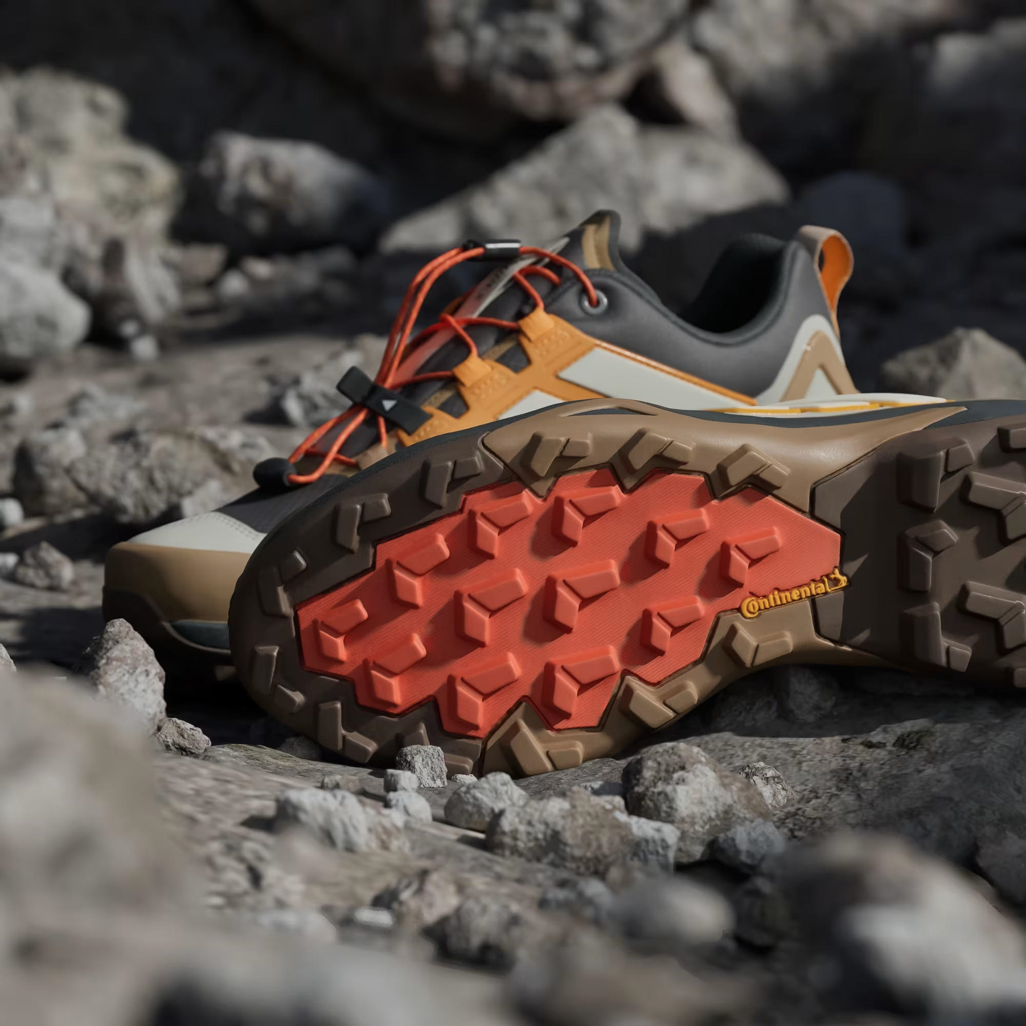 adidas Terrex Skychaser Gore Tex Erkek Outdoor Ayakkabı