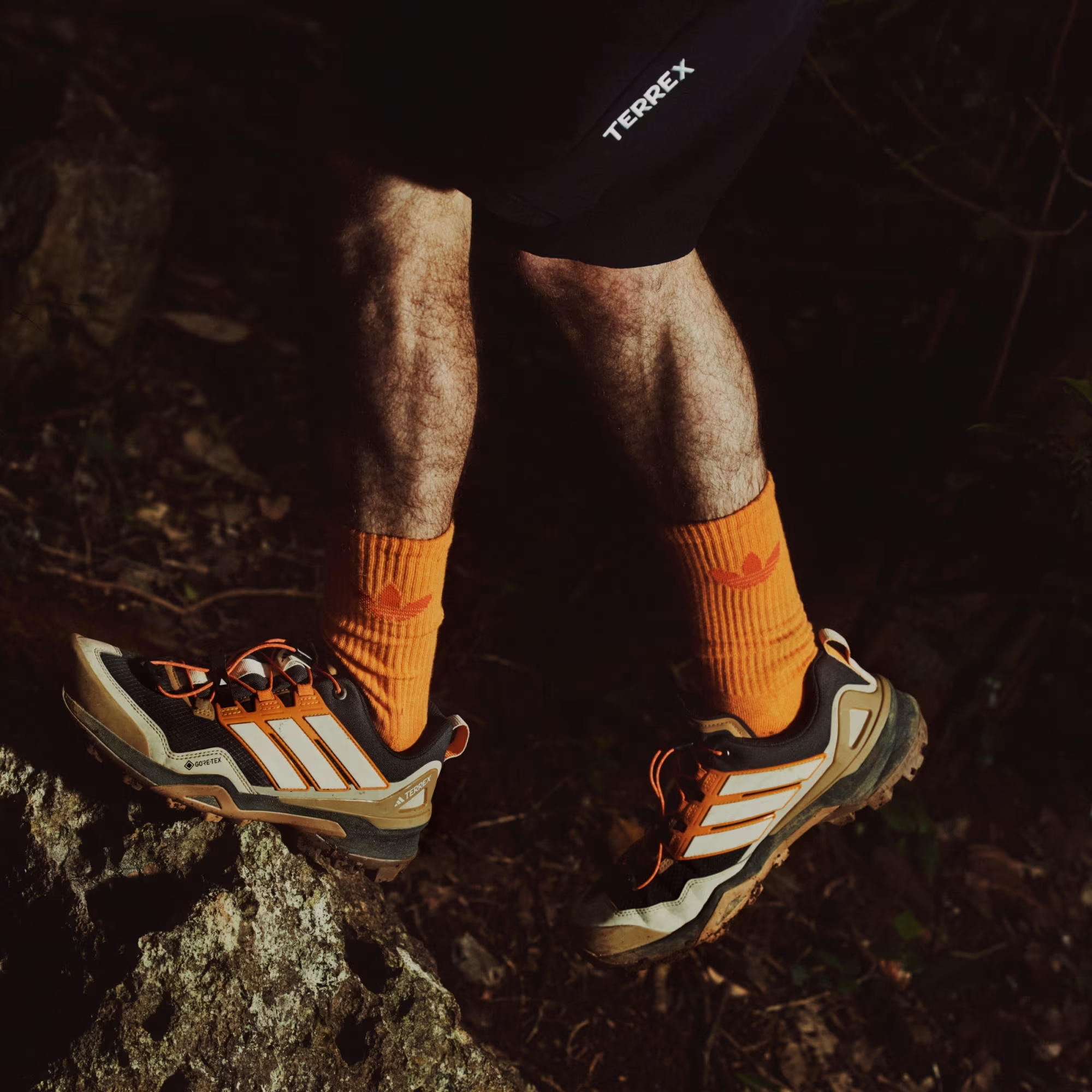 adidas Terrex Skychaser Gore Tex Erkek Outdoor Ayakkabı