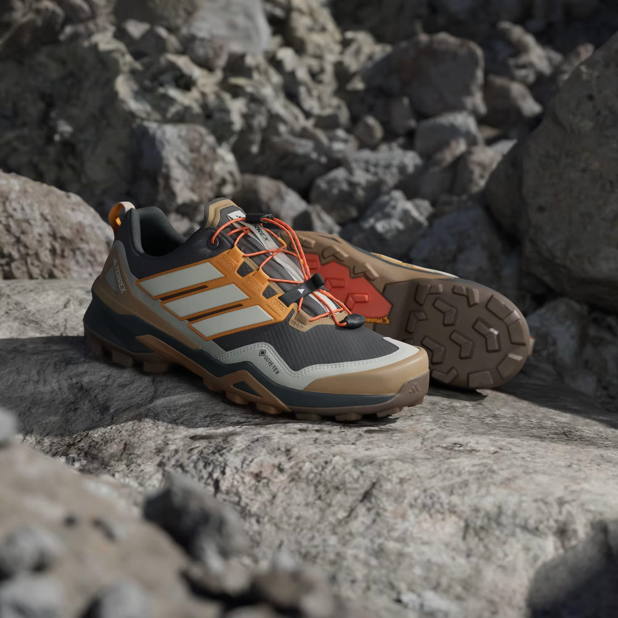 adidas Terrex Skychaser Gore Tex Erkek Outdoor Ayakkabı