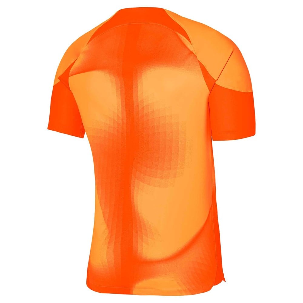 Nike Gardien IV Kaleci Erkek Forma