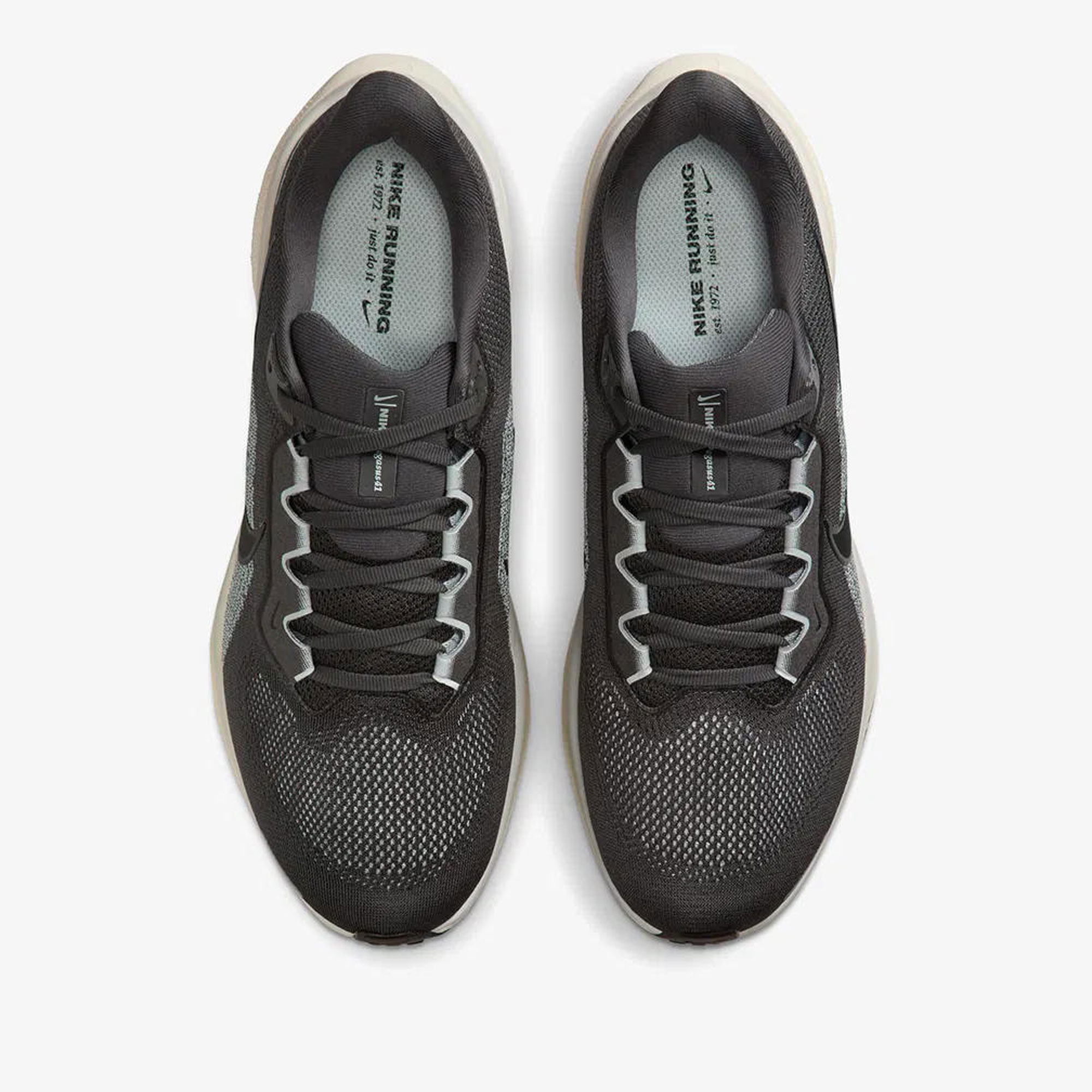 Nike Siyah Nike Air Zoom Pegasus 41 Koşu Ayakkabısı