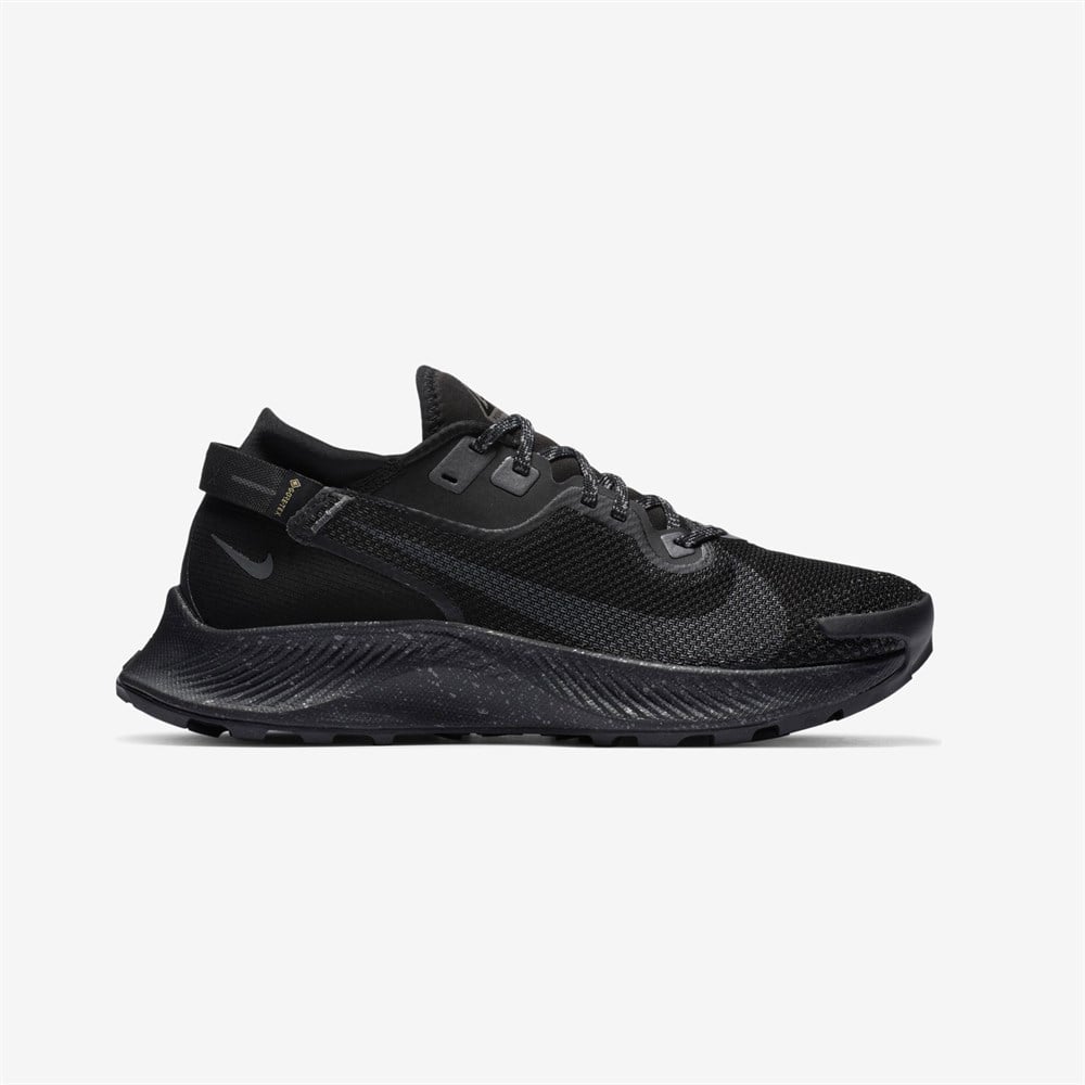 Nike Pegasus Trail 2 Gore-Tex Kadın Koşu Ayakkabısı