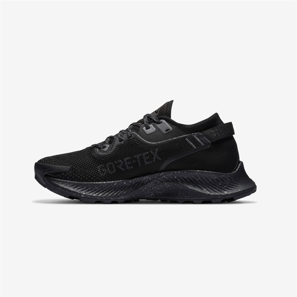 Nike Pegasus Trail 2 Gore-Tex Kadın Koşu Ayakkabısı