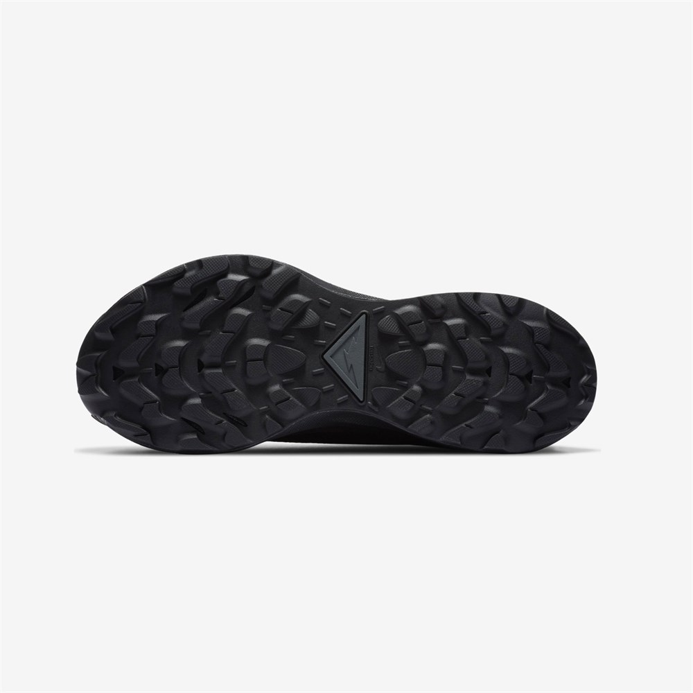 Nike Pegasus Trail 2 Gore-Tex Kadın Koşu Ayakkabısı