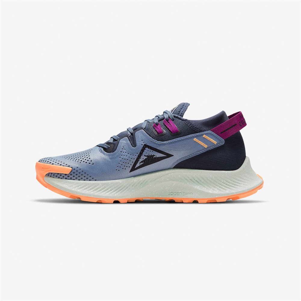 Nike Pegasus Trail 2 Kadın Koşu Ayakkabısı
