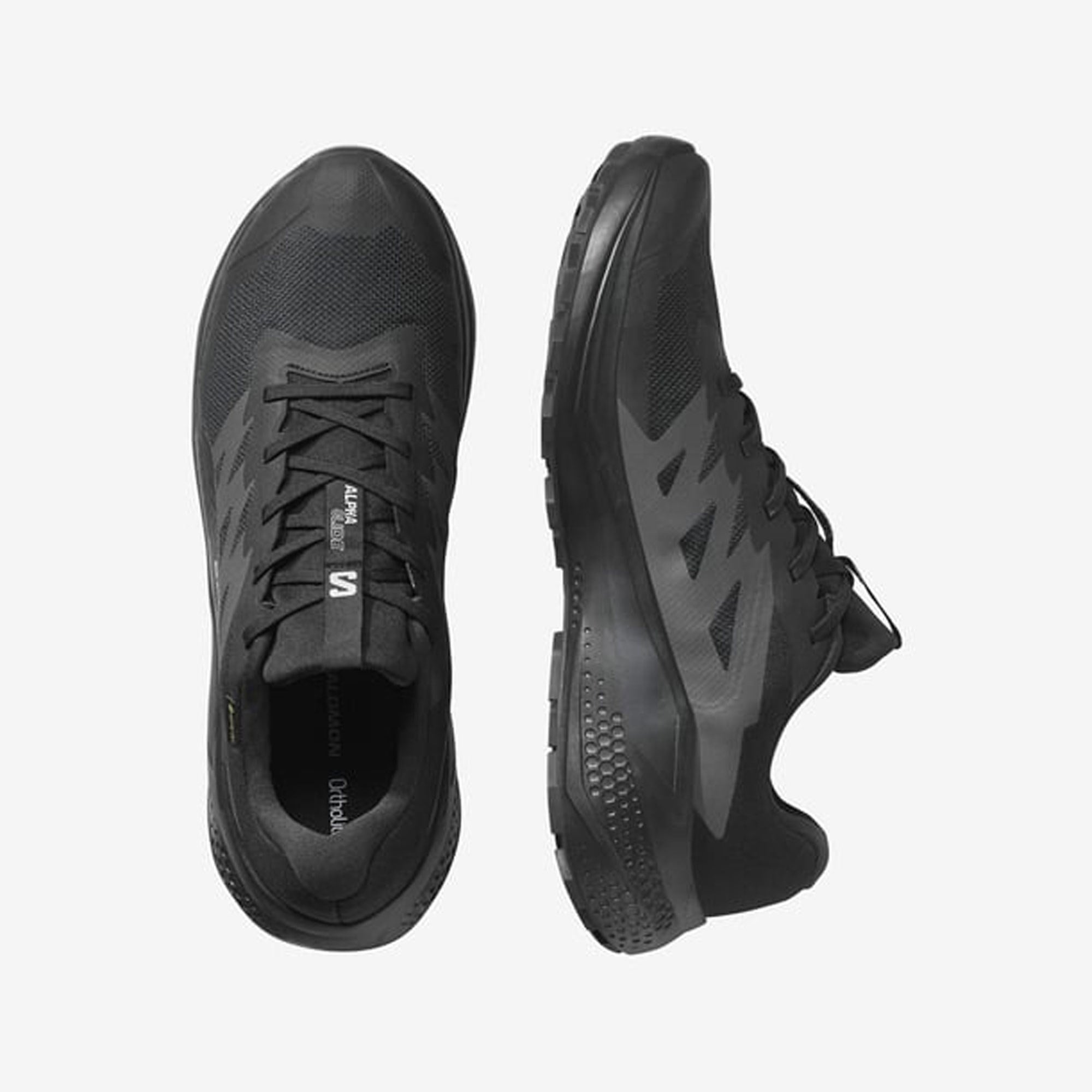 Salomon Siyah Salomon Alphaglide Gore