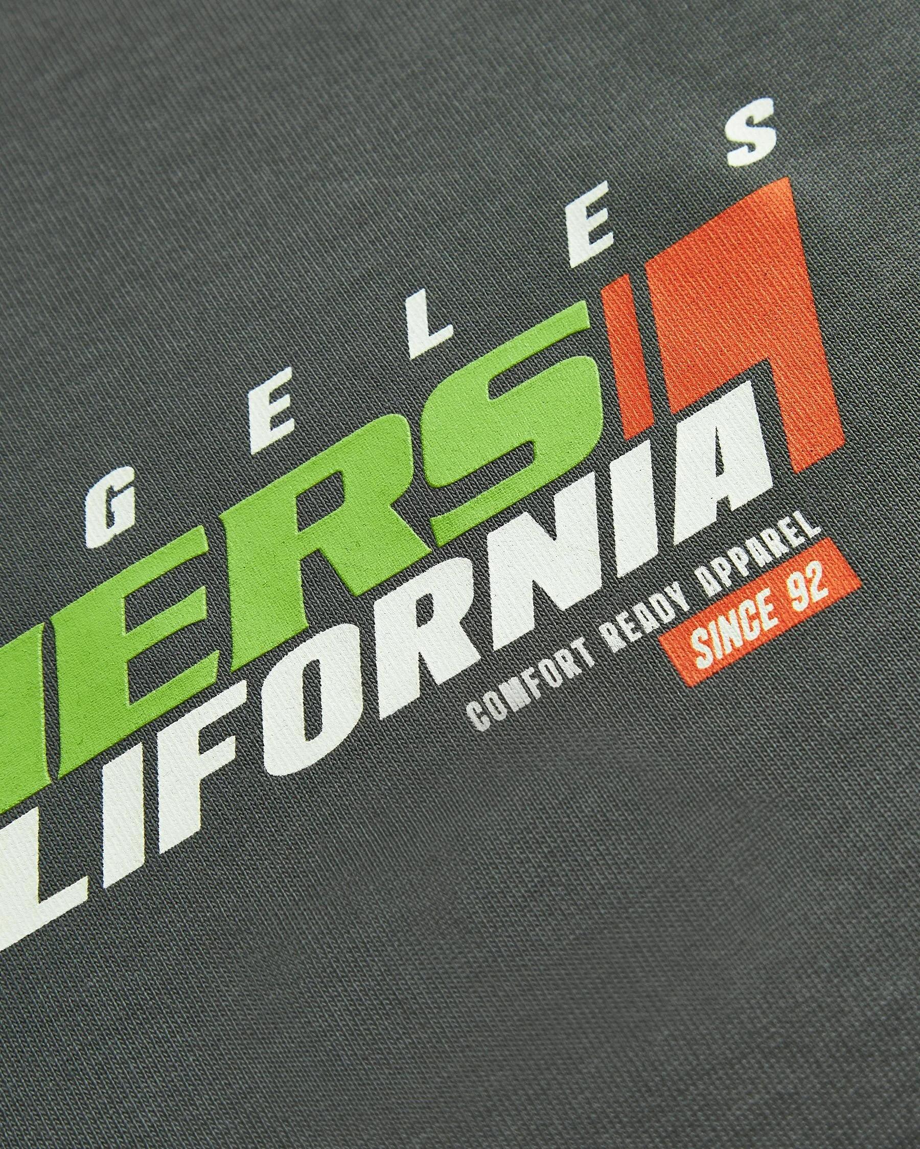 Skechers Graphic Tee Heavy Weight Oversize Erkek Tişört