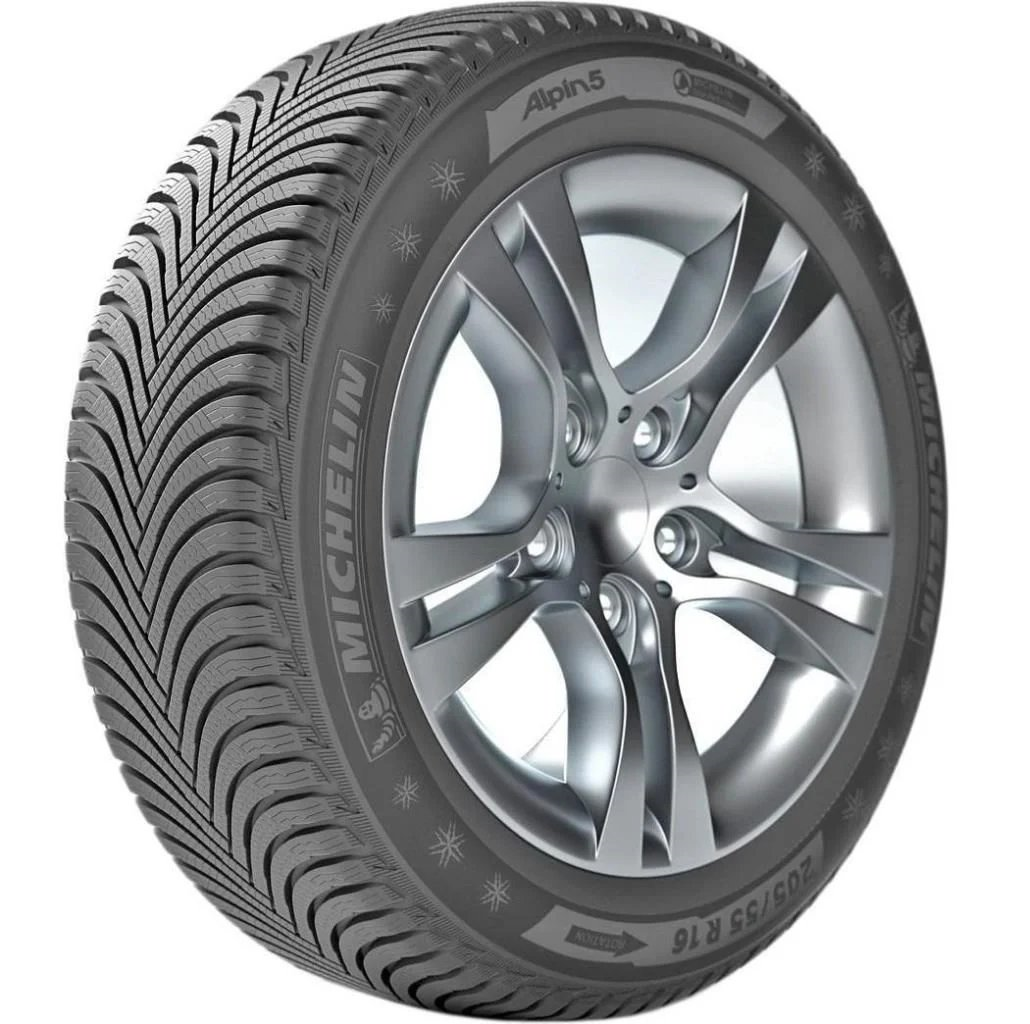 michelinmichelin-19555r20-95h-xl-alpin-4dc44f.png