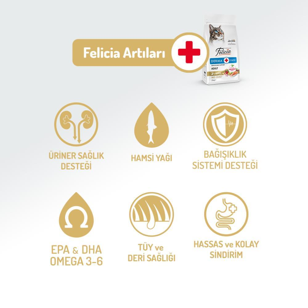 Felicia Az Tahıllı Yetişkin Somonlu HypoAllergenic Kedi Maması 12 kgFelicia