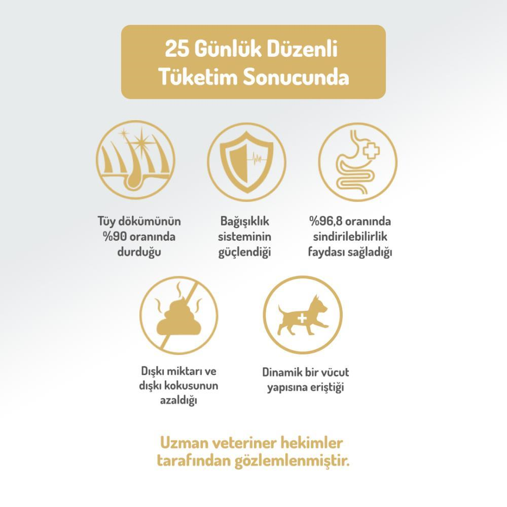 Felicia Hipoalerjenik Somonlu Küçük Irk Düşük Tahıllı Yetişkin Köpek Maması 6 kgFelicia